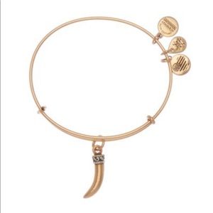 Alex and Ani Accessories - 🆕 | ALEX & ANI | Horn Charm Expandable Bracelet Alex and Ani Accessories - 🆕 | ALEX & ANI | Horn Charm Expandable Bracelet